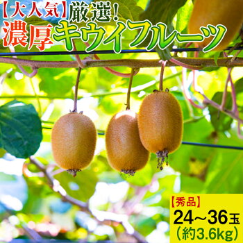 【大人気】厳選!濃厚キウイフルーツ【秀品】24~36玉(約3.6kg)