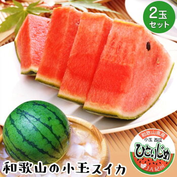 記事ID36658のサムネイル画像