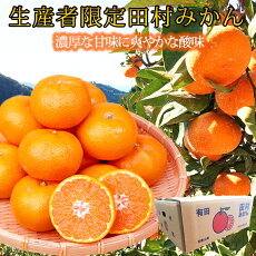 楽天市場 ふるさと納税 ジャンル別お礼の品ランキング みかん