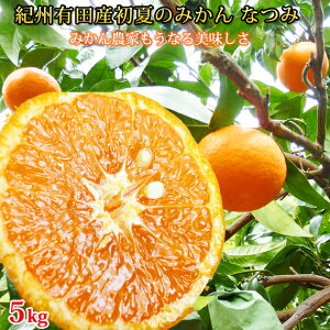 yӂ邳Ɣ[ŁzĂ݂̂ Ȃ5kg ӂ邳Ɣ[ ݂񁦒ws2026N4{`2026N4{ɏ\
