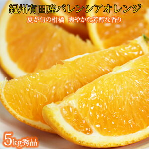 yӂ邳Ɣ[ŁzGi 󏭂ȍYoVAIW 5kg 2026N6{`7{ɏ\