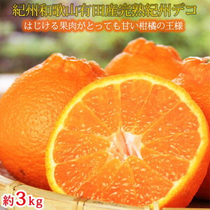 yӂ邳Ɣ[Łzʓvv@nIBfR(sm) 3kgb k sm fR| ݂ t[c ʕ { s\ łۂ Y Yn n ꋉi l 2026N2{`3