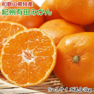 yӂ邳Ɣ[Łz[Gi]a̎RLc݂3kg(S`LTCY)ӂ邳Ɣ[ ~J 2025N11{`2026N1{ɏ\