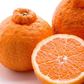 【ふるさと納税】＜2月より発送＞ 選べる内容量 家庭用 不知火 （傷み補償あり）◇【デコポンと同品種・人気の春みかん】 わけあり 訳あり ワケアリ ※北海道・沖縄・離島への配送不可 ※2026年2月上旬～3月下旬頃に順次発送予定