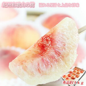 yӂ邳Ɣ[ŁzIBa̎RY̓ 4kg ϔ 2026N6{`8{ɏ\