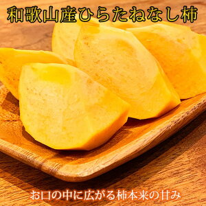 yӂ邳Ɣ[Łza̎RH̖o j`iЂ炽˂Ȃj 4kg ϔ 2025N10{`10ɏ\ Eւ̔s