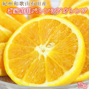 yӂ邳Ɣ[Łzyƒp󂠂z󏭂ȍYoVAIW 7kg 2026N6{`7{ɏ\