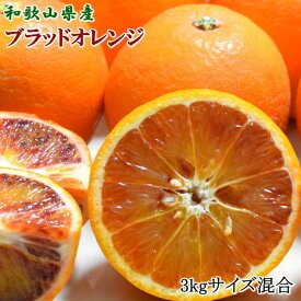 【ふるさと納税】【希少・高級柑橘】国産濃厚ブラッドオレンジ「タロッコ種」約3kg　※2025年4月上旬～4月下旬頃に順次発送予定