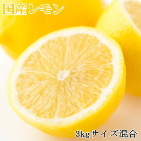 【ふるさと納税】【産直】和歌山産レモン約3kg（サイズ混合）※2025年3月中旬～6月中旬頃に順次発送予定