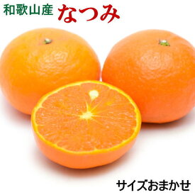 【ふるさと納税】【希少柑橘】和歌山県産なつみ約5kg（S～2Lサイズおまかせ） ※2025年4月上旬～4月下旬頃に順次発送予定