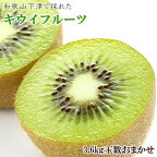 和歌山の下津で採れたキウイフルーツ約3.6kg（玉数おまかせ・秀品）※2025年1月上旬～3月上旬頃に順次発送予定