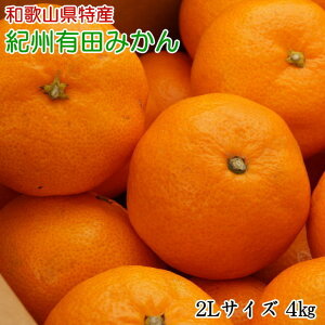 yӂ邳Ɣ[Łz[Gi]a̎RLc݂4kg(2LTCY) 2025N11{`2026N1{ɏ\ ӂ邳Ɣ[ ~J