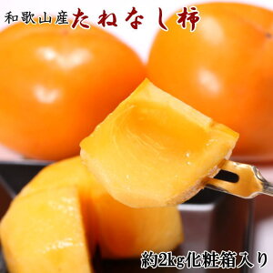 yӂ邳Ɣ[ŁzyIEYza̎RŶ˂Ȃ`2L`4LTCY2kgiϔj 2025N9{`11{ɏ\ ւ̔zs