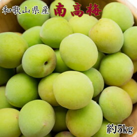 【ふるさと納税】【和歌山名産】南高梅5kg（サイズ混合） ｜ 青梅 紀州 産地直送 うめ ウメ 新鮮 ※2026年6月上旬～6月下旬頃に順次発送予定