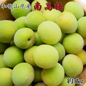 yӂ邳Ɣ[Łzya̎RYz썂~5kgiTCYj b ~ IB Yn  E VN 2026N6{`6{ɏ\