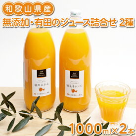 【ふるさと納税】無添加・有田のジュース詰合せ1000ml×2本・2種◇※北海道・沖縄への配送不可※着日指定不可