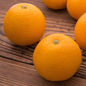 yӂ邳Ɣ[Łzy_ƒzZiƒpj3kg | Lc k t[c ݂ IW Yn ͂