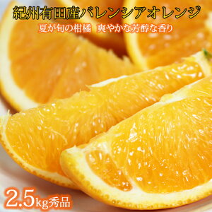 yӂ邳Ɣ[ŁzGi 󏭂ȍYoVAIW 2.5kg | ʕ  k IW t[c a̎R Yn 2026N6{`7{ɏ\