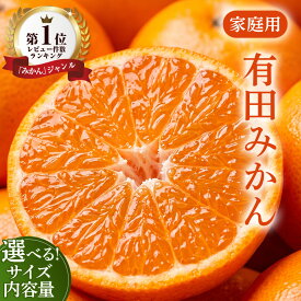 【ふるさと納税】【選べる サイズ・内容量・発送時期】家庭用 極早生/完熟//越冬完熟 越冬木熟/ハウス栽培 有田みかん【数量限定】｜みかん 訳あり 温州みかん 和歌山県産 訳あり わけあり 柑橘 果物 フルーツ 糖度 甘い 濃厚 ジューシー 光センサー