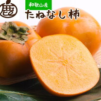 楽天市場】刀根早生柿（総重量（果物）2.00 ～ 2.99kg）の通販