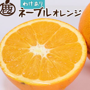 yӂ邳Ɣ[Łz2蔭ƒp l[uIW Iׂeʁb󂠂E킯yZT[Iʁz kCEEւ̔zs 2026N2{`2{ɏ