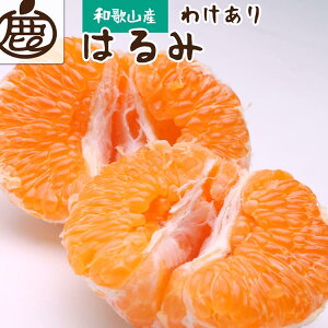 yӂ邳Ɣ[Łz2蔭ƒp ͂ Iׂeʁ b 킯 󂠂 PA fR|̎oiEVHt݂yZT[Iʁz kCEEւ̔zs 