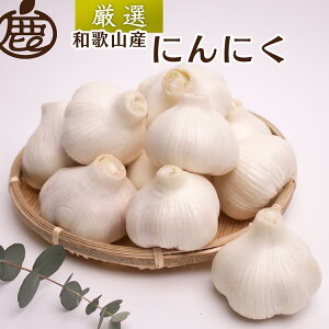 yӂ邳Ɣ[Łz5蔭I ɂɂ Iׂe 500gE1kgE2kgyɂɂzyYz