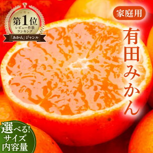 【選べる サイズ・内容量・発送時期】家庭用 極早生/完熟/...