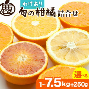 yӂ邳Ɣ[Łz1蔭Iׂe ƒp kly󂠂E킯zyLc̏t݂lߍ킹Et[clߍEIW߂킹zyZT[Iʁz k