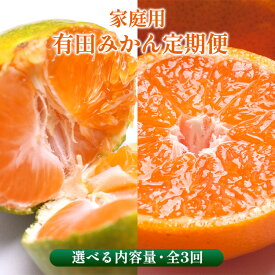 【ふるさと納税】〈定期便〉【10・11・12月 全3回】＼選べる内容量／家庭用 有田みかん定期便（傷み補償分） ※北海道・沖縄・離島への配送不可