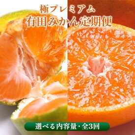 【ふるさと納税】〈定期便〉【10・11・12月 全3回】＼選べる内容量／極プレミアム 有田みかん定期便（傷み補償分） ※北海道・沖縄・離島への配送不可