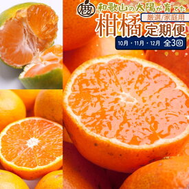 【ふるさと納税】【定期便】柑橘定期便SS 3回（10～12月）※北海道・沖縄・離島への配送不可※10月・11月・12月に発送