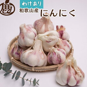 �y�ӂ邳�Ɣ[�Łz��5����蔭���� �ƒ�p ���ɂ�ɂ� �I�ׂ���e�� 500g�E1kg�E2kg