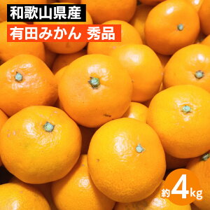 yӂ邳Ɣ[Łza̎RY Lc݂ 4kg Gi 2025N10{`2026N1{ɏ\ kCEEւ̔zs