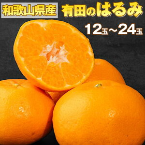 yӂ邳Ɣ[ŁzyYnza̎RY Lĉ͂ 12ʁ`24 2026N1{`2{ɏ\