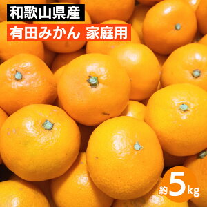 yӂ邳Ɣ[Łza̎RY Lc݂ 5kg ƒp 2025N10{`2026N1{ɏ\ kCEEւ̔zs