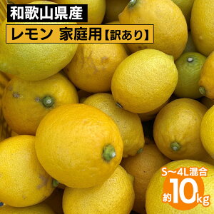 yӂ邳Ɣ[Łza̎RY  ƒp 10kg S`4Ly󂠂z 2026N1{`3{ɏ\ kCEEւ̔zs