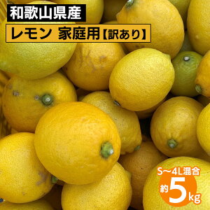 yӂ邳Ɣ[Łza̎RY  ƒp 5kg S`4L 󂠂 2026N1{`3{ɏ\ kCEEւ̔zs