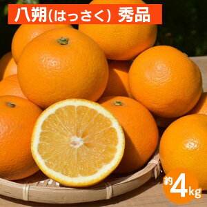 yӂ邳Ɣ[Łza̎RY  4kg Gi 2026N1{`3{ɏ\