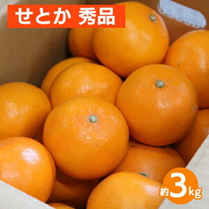yӂ邳Ɣ[ŁzƂ@3kg@Gi 2026N2{`4{菇\