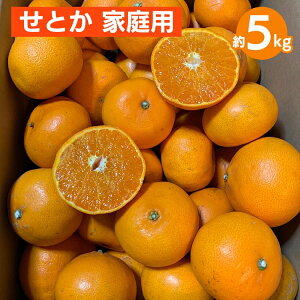yӂ邳Ɣ[ŁzƂ@5kg@ƒp 2026N2{`4{菇\