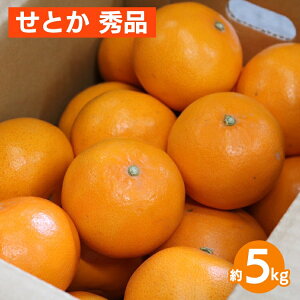 yӂ邳Ɣ[ŁzƂ@5kg@Gi 2026N2{`4{菇\