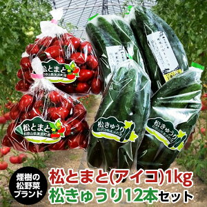 yӂ邳Ɣ[Łzy̏؃uhzƂ܂ƁiACRjイZbg 2025N11{`2026N6{ɏ\