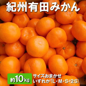 yӂ邳Ɣ[ŁzIBLc݂ 10kg TCY܂ ꂩ(LEMESE2S) ւ̔zs 2025N11{`2026N1{\
