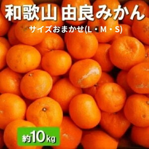 yӂ邳Ɣ[Łza̎RRǒY Rǂ݂ 10kg Gi TCY܂(LEMES) kCEEւ̔zs 2025N11{`2026N1{ɏ\