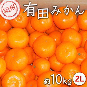 yӂ邳Ɣ[ŁzIBLc݂ 10kg TCY (2L) b݂ ~J a̎R R t[c ʕ k a̎RY  lC 2025N11{`2026N1{ɏ\