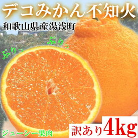 【ふるさと納税】不知火（しらぬい） オレンジ みかん 家庭用 4kg ｜ 訳あり 和歌山みかん オレンジ フルーツ 果物 ※北海道・沖縄・離島への配送不可 ※2026年2月下旬～3月下旬頃に順次発送予定