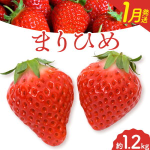 yӂ邳Ɣ[Łzy2026N1za̎RYuhu܂Ђ߁v300g×4pbN v1.2kg Iفs2026N1{-2{oׁta̎R    ܂Ђ t[c 