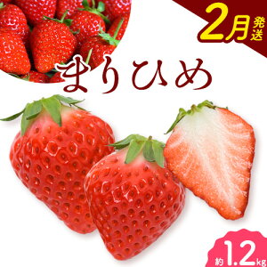 yӂ邳Ɣ[Łzy2026N2za̎RYuhu܂Ђ߁v300g×4pbN v1.2kg Iفs2026N2{-2{oׁta̎R    ܂Ђ t[c 