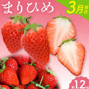 yӂ邳Ɣ[Łzy2026N3za̎RYuhu܂Ђ߁v300g×4pbN v1.2kg Iفs2026N3{-3{oׁta̎R    ܂Ђ t[c 